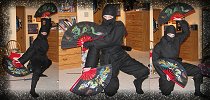 Ninja with Kung Fu fans